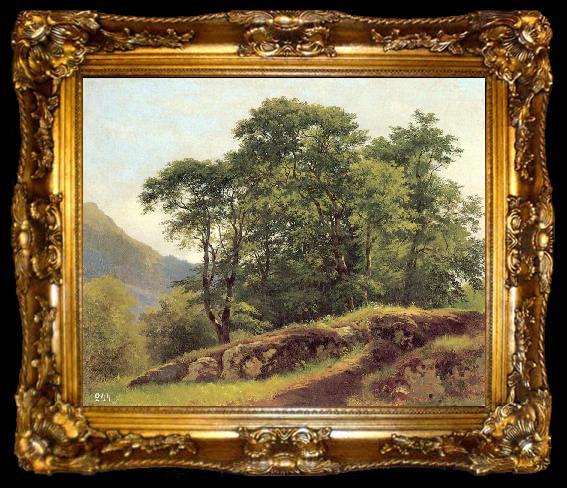 framed  Ivan Shishkin Beech Forest in Switzerland, ta009-2